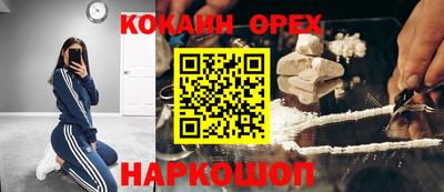 тгк Будённовск