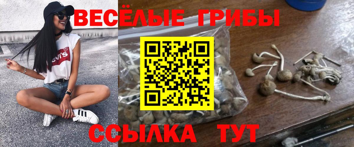 Галлюциногенные грибы Magic Shrooms Сатка