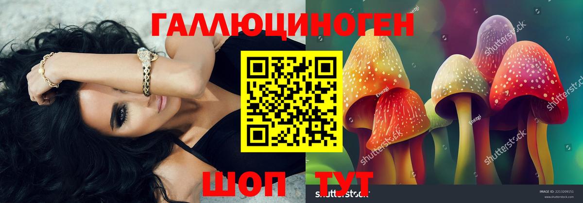 Сатка  Псилоцибиновые грибы Magic Shrooms  Вход с VPN 